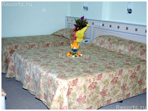 Vega Side Hotel 4